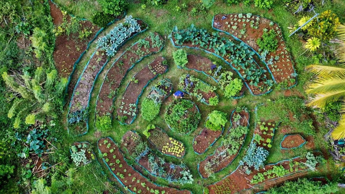 Permaculture Garden Innovations: Modern Techniques for a Greener Future