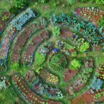 permaculture garden